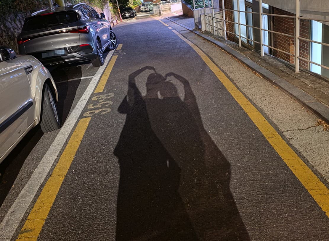 레나 개발자